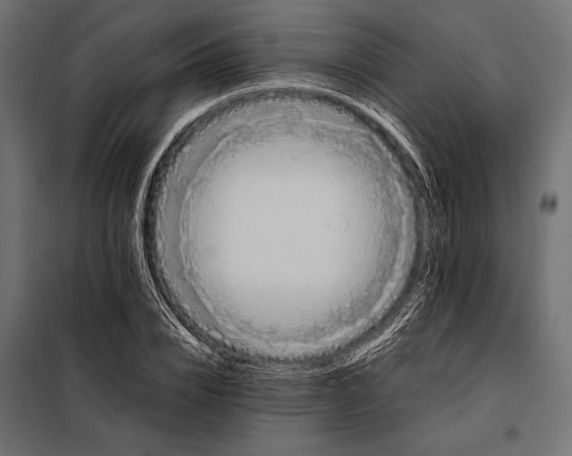 X0000098080832200804251511