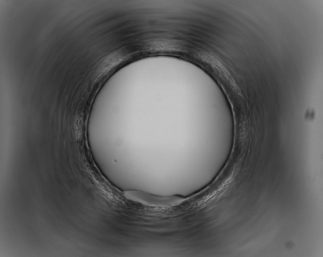 X0000098080833200804251511