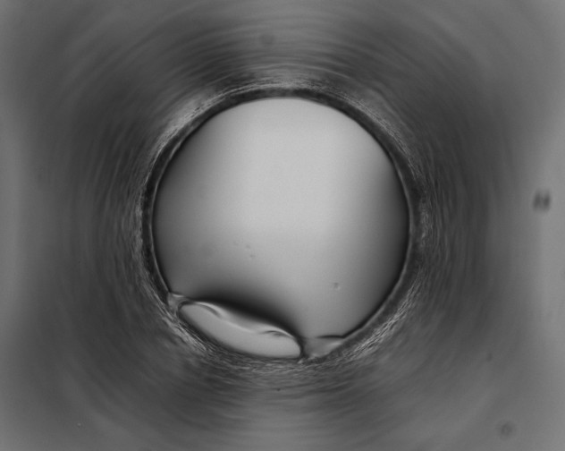 X0000098080834200804251511