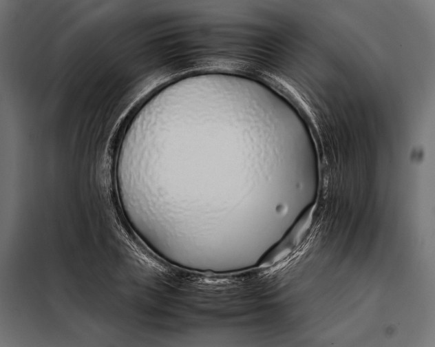 X0000098080835200804251511