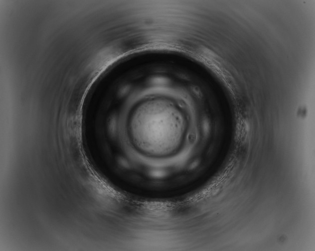 X0000098080836200804251511