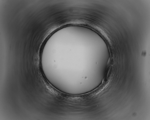 X0000098080837200804251511