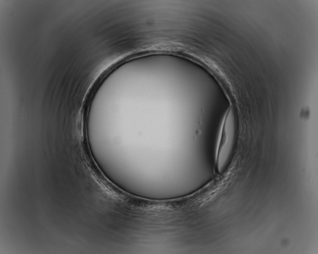 X0000098080838200804251511