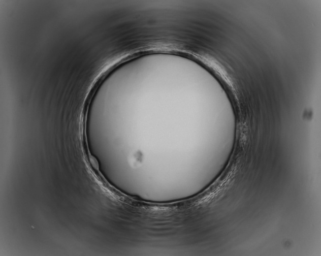 X0000098080839200804251511