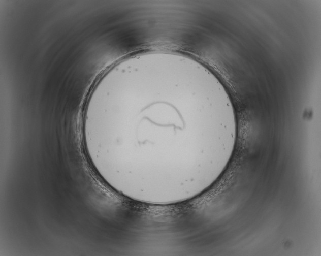 X0000098080840200804251511