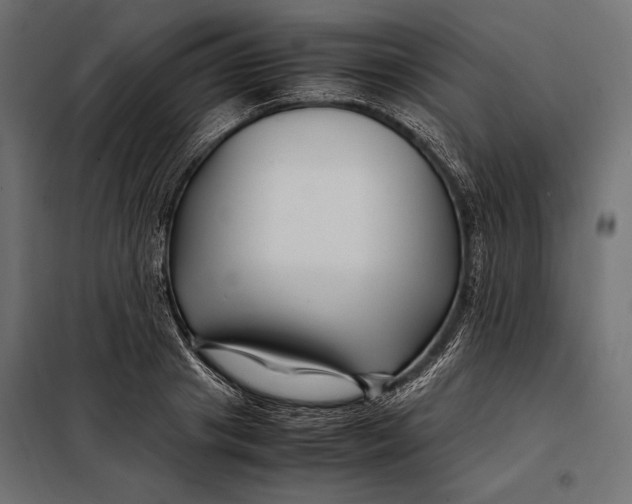 X0000098080841200804251511