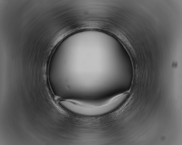 X0000098080842200804251511