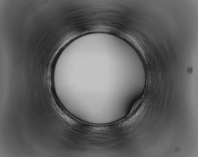 X0000098080843200804251511