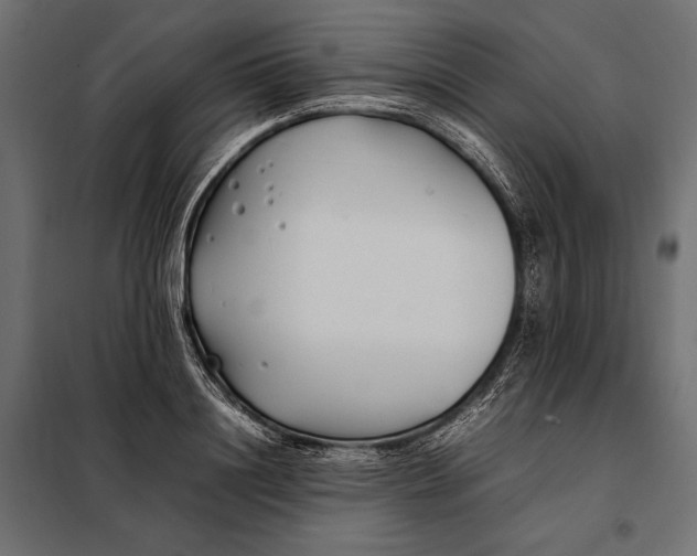 X0000098080844200804251511