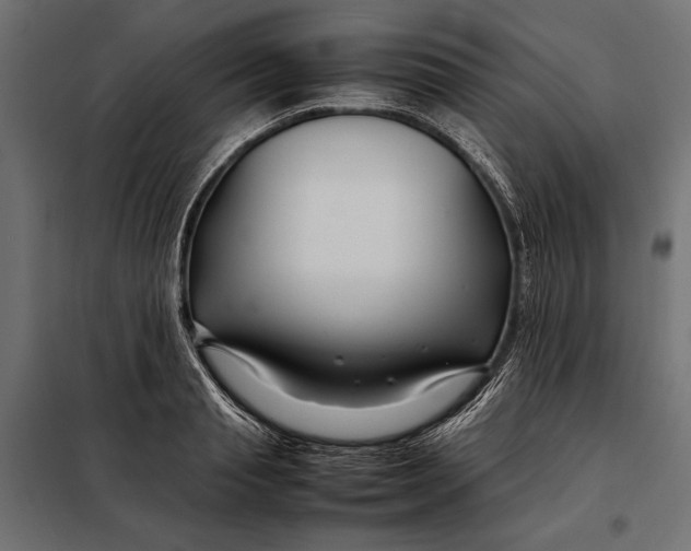 X0000098080845200804251511