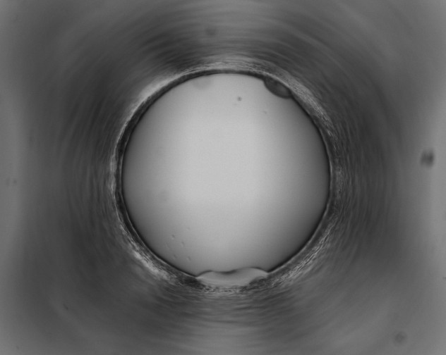 X0000098080846200804251511