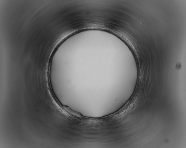 X0000098080847200804251511