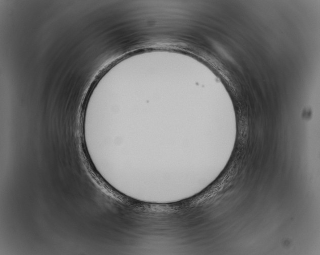 X0000098080848200804251511