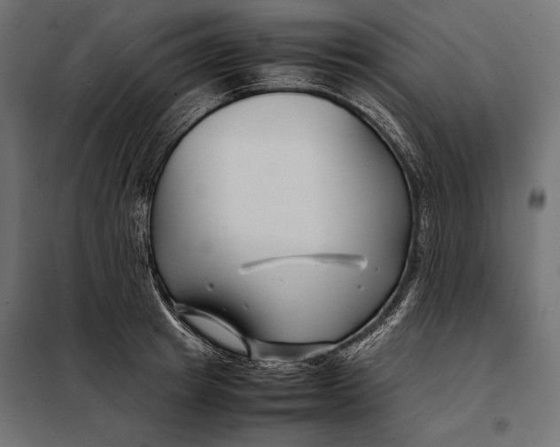 X0000098080849200804251511