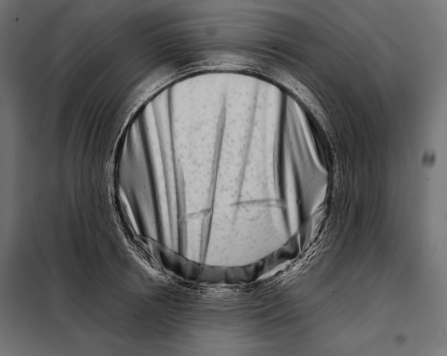 X0000098080850200804251511