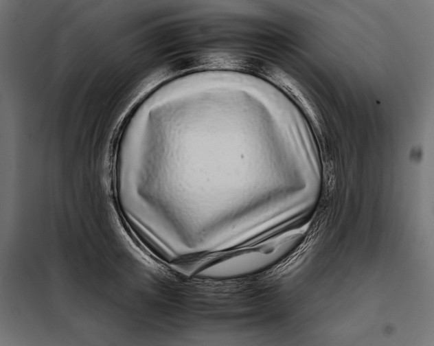 X0000098080851200804251511