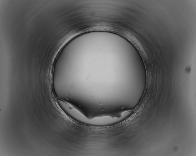 X0000098080852200804251511