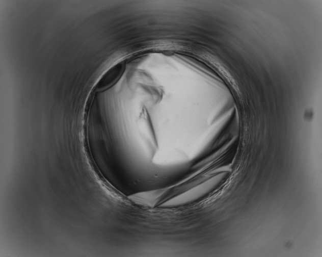 X0000098080853200804251511