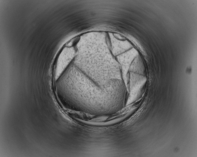 X0000098080854200804251511