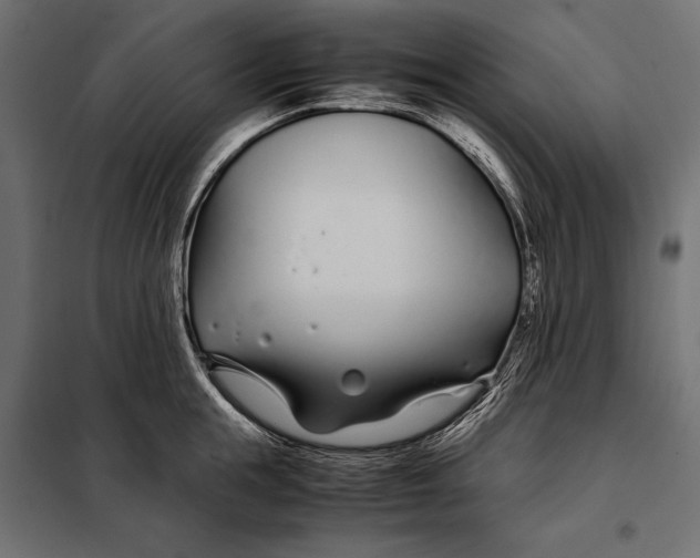 X0000098080855200804251511