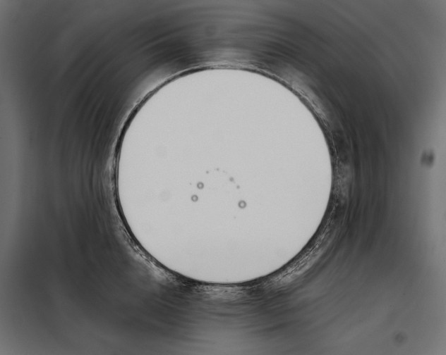 X0000098080856200804251511