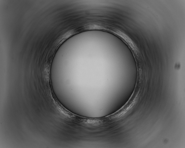 X0000098080857200804251511