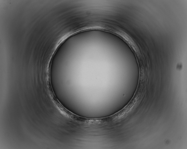 X0000098080858200804251511