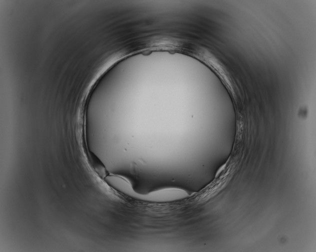 X0000098080859200804251511