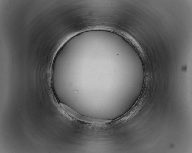 X0000098080860200804251512