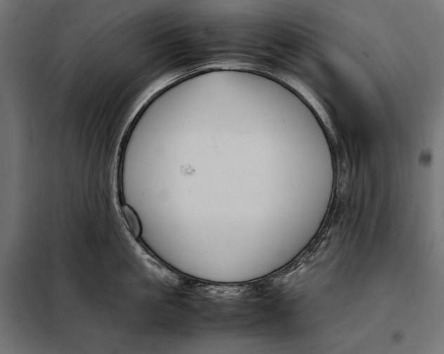 X0000098080861200804251512