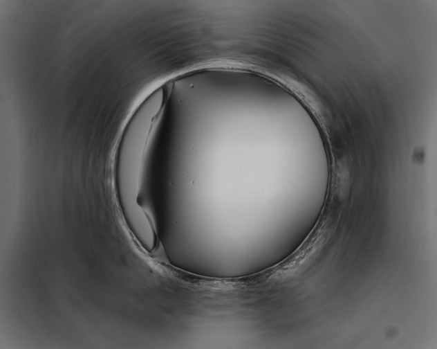 X0000098080862200804251512