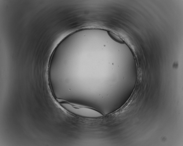 X0000098080863200804251512