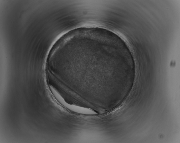 X0000098080864200804251512