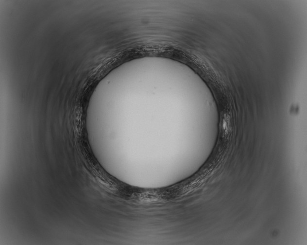 X0000098080867200804251511