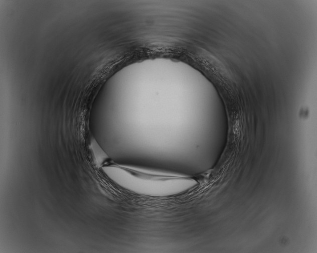 X0000098080868200804251511