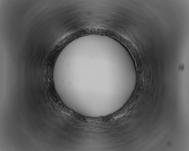 X0000098080870200804251511