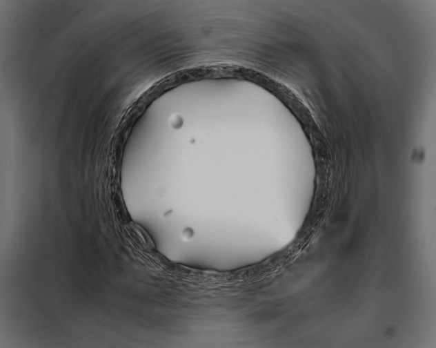 X0000098080871200804251511