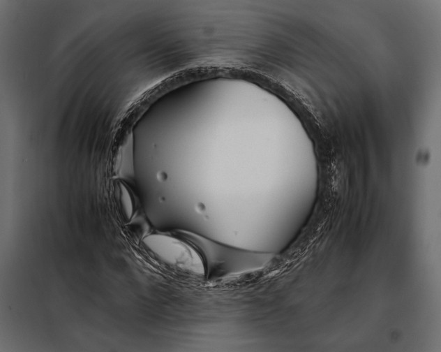 X0000098080872200804251511