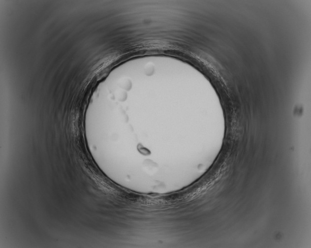 X0000098080873200804251511