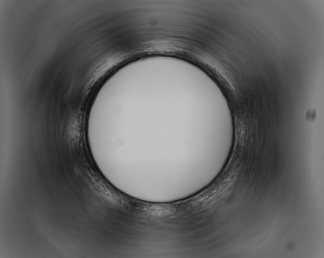 X0000098080874200804251511