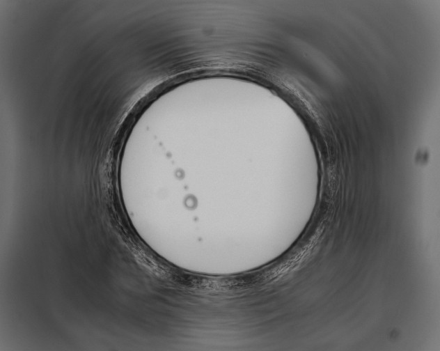 X0000098080875200804251511