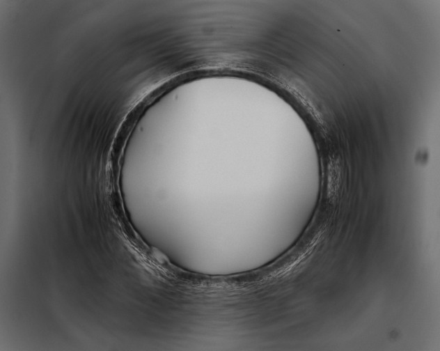 X0000098080876200804251511