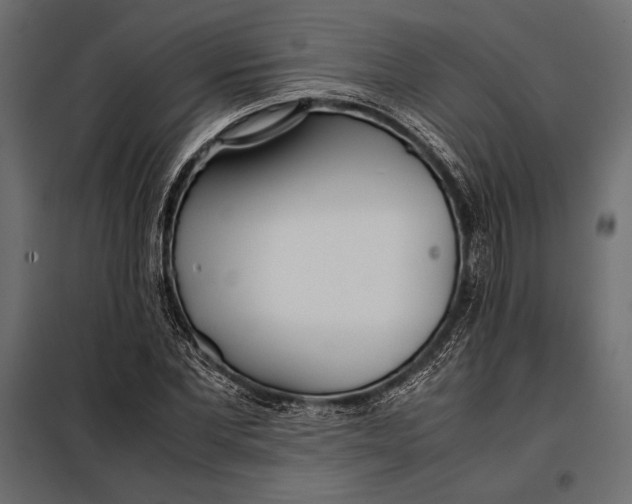 X0000098080877200804251511