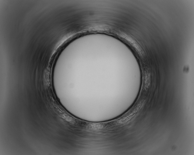 X0000098080878200804251511