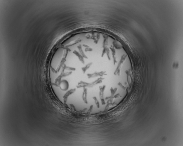 X0000098080879200804251511