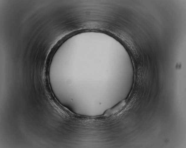 X0000098080880200804251511