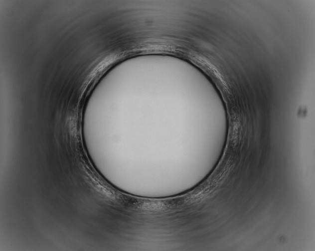 X0000098080882200804251511