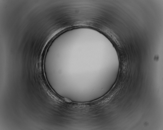 X0000098080884200804251511