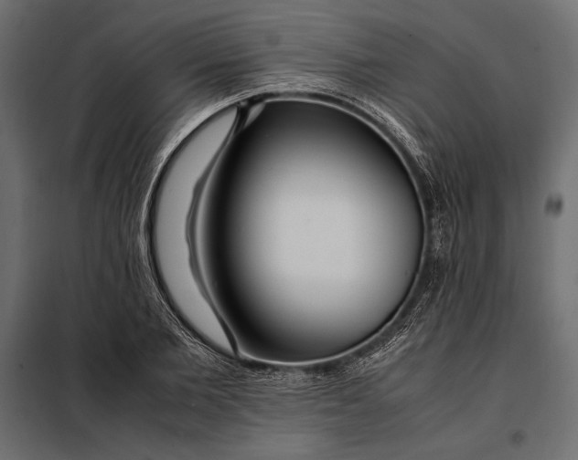 X0000098080885200804251511