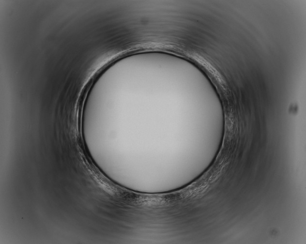 X0000098080886200804251511